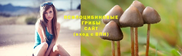 скорость Медногорск