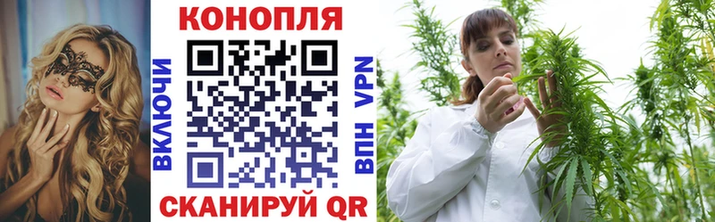 Бошки Шишки гибрид  закладки  ссылка на мегу ссылка  Староминская 